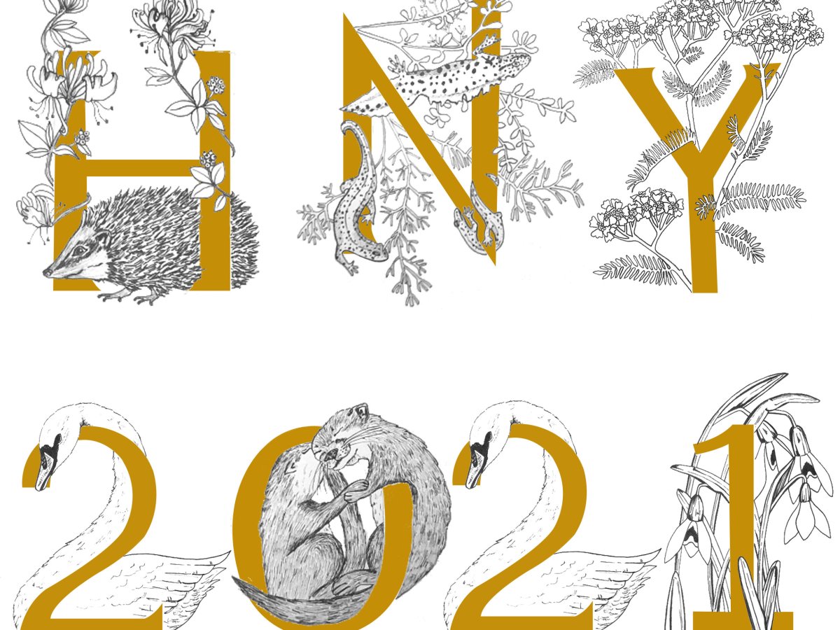 HAPPY NEW YEAR&nbsp;2021