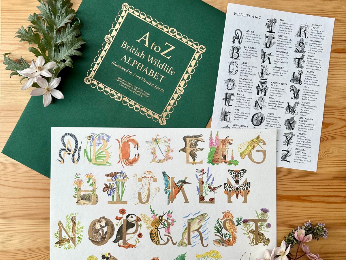 ‘A to Z BRITISH WILD LIFE’ – PRINTS NOW&nbsp;AVAILABLE